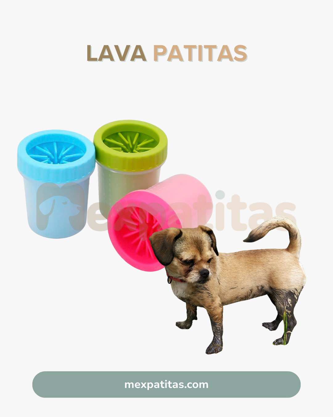 Lava patitas para perros | Limpieza Mexpatitas