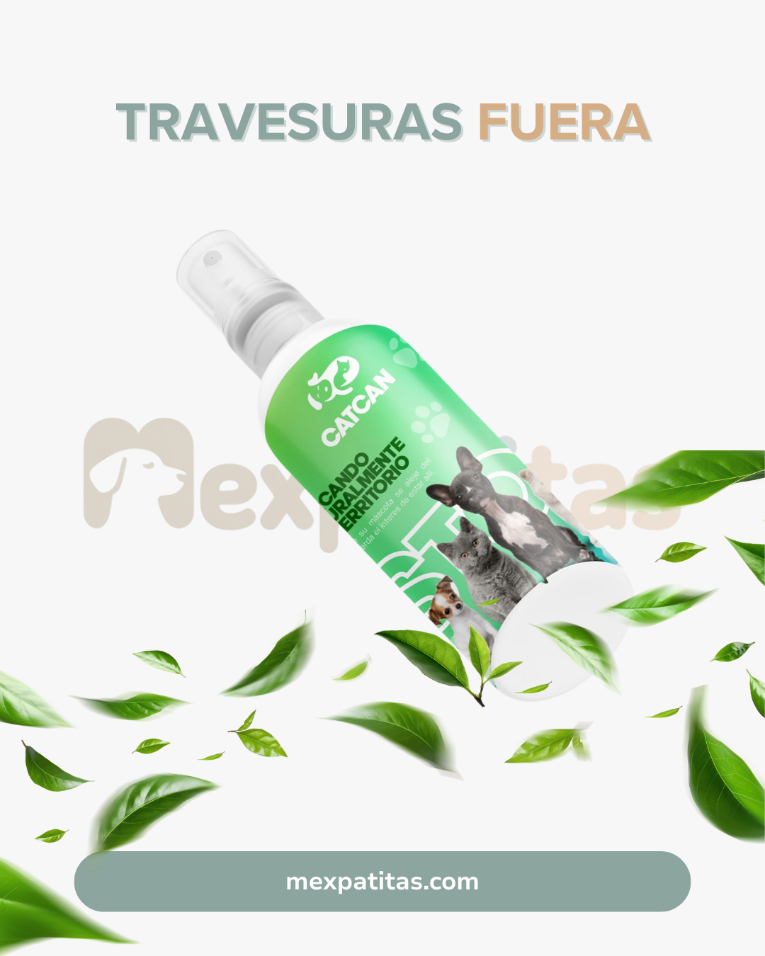 Travesurasfuera | Cuidado Mexpatitas