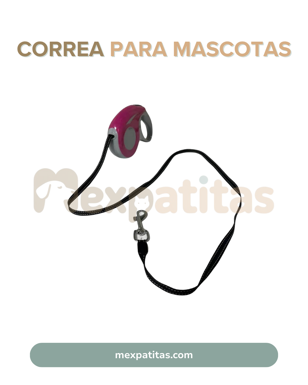 Correa retráctil de 5 metros para perro - Paseo Mexpatitas