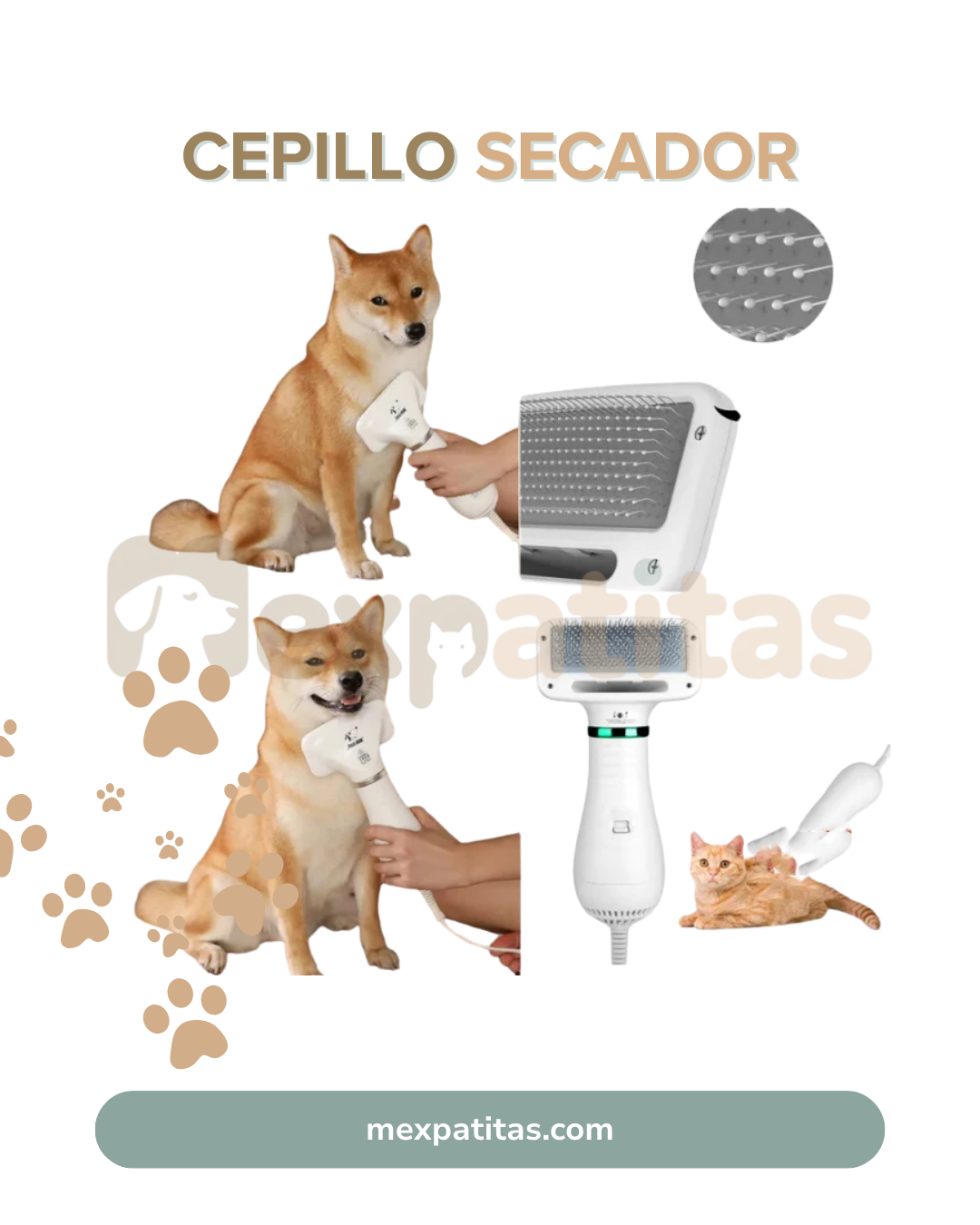 Cepillo secador 2 en 1 para mascotas | GroomPro Mexpatitas