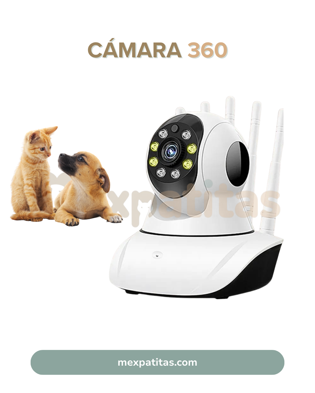 Cámara robot 360° para interiores | Tecnología Mexpatitas