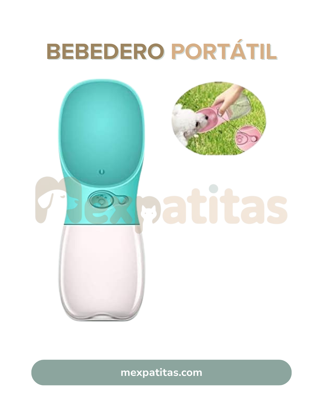Bebedero Portátil 💧 | Hidratación Mexpatitas