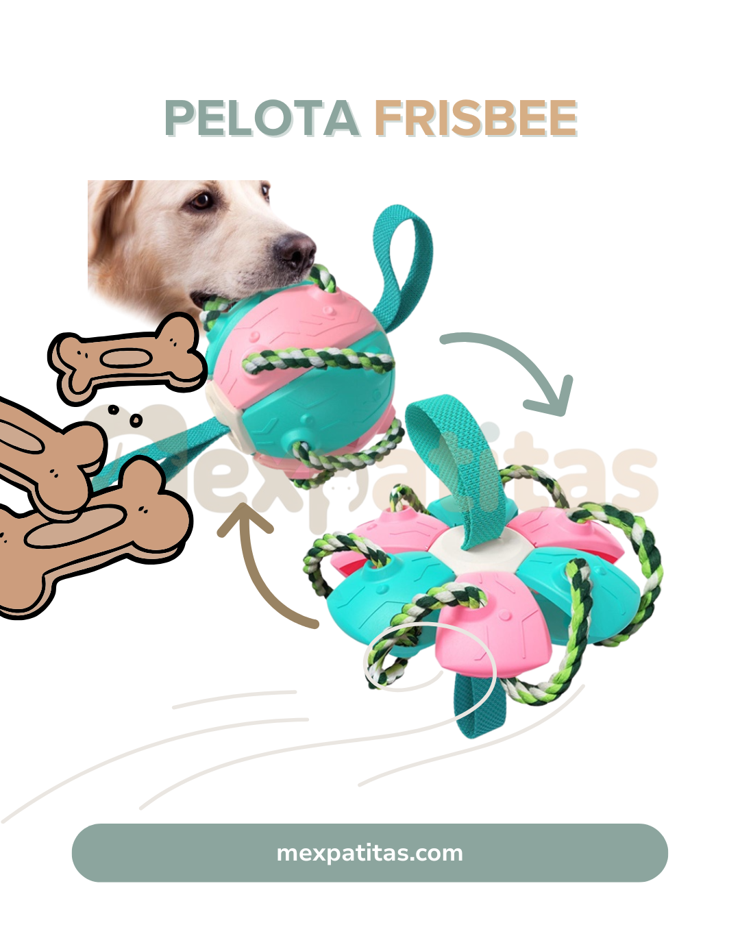 Pelota frisbee para perros | Juguete Mexpatitas