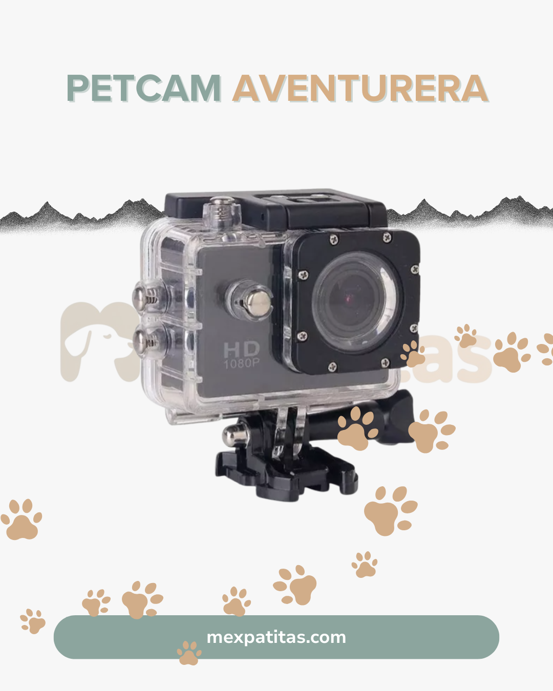 🎥 PetCam Aventurera | Tecnología Mexpatitas