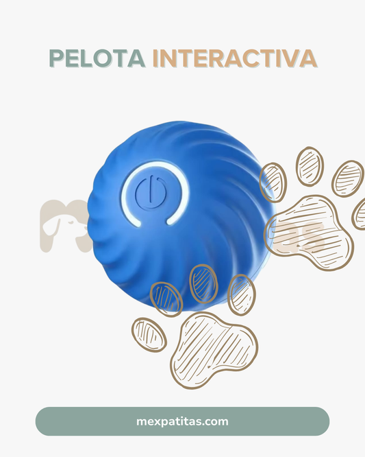 Pelota interactiva anti-estrés para mascotas  | Juguete Mexpatitas