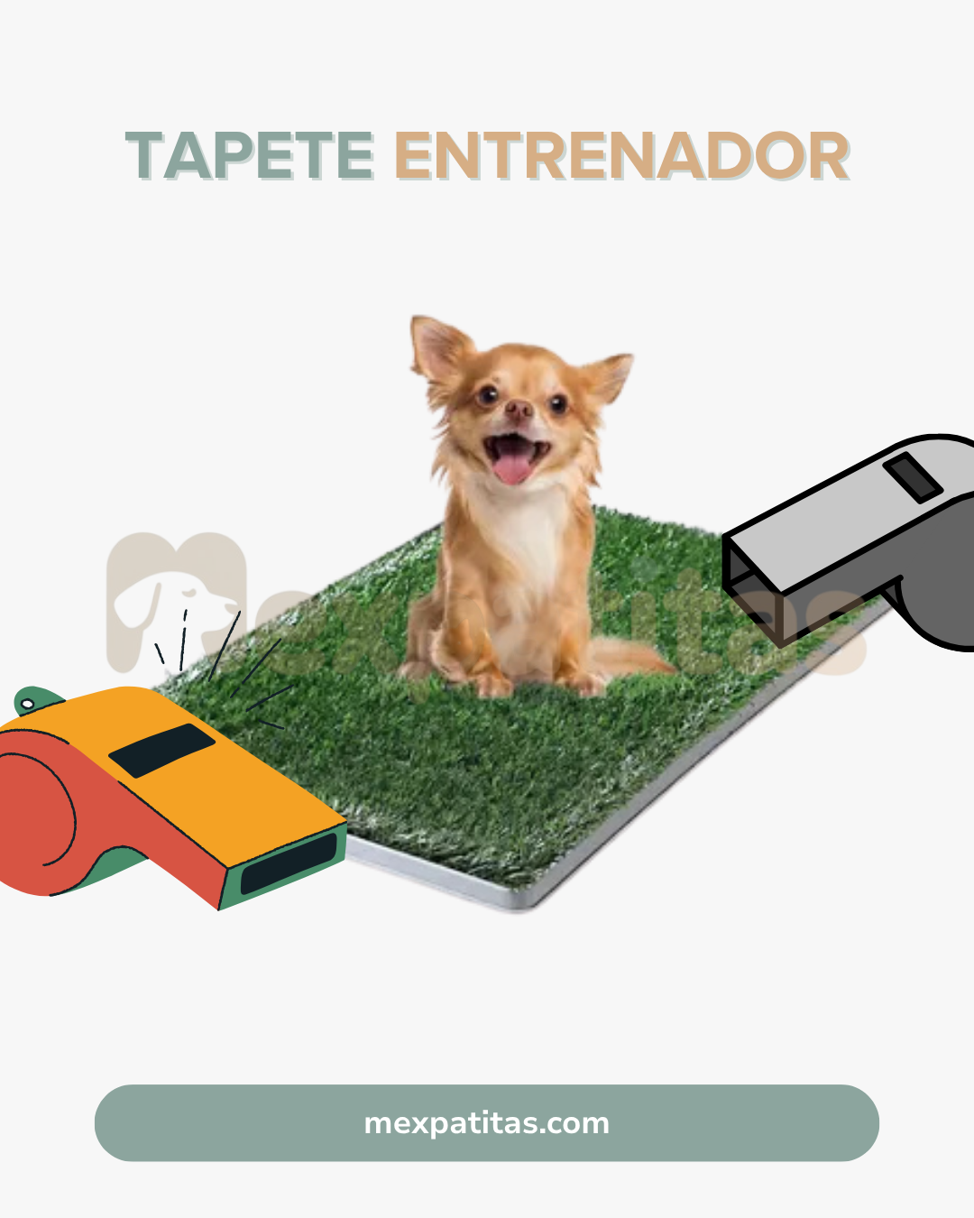 Pasto Pipí | Tapete entrenador Mexpatitas