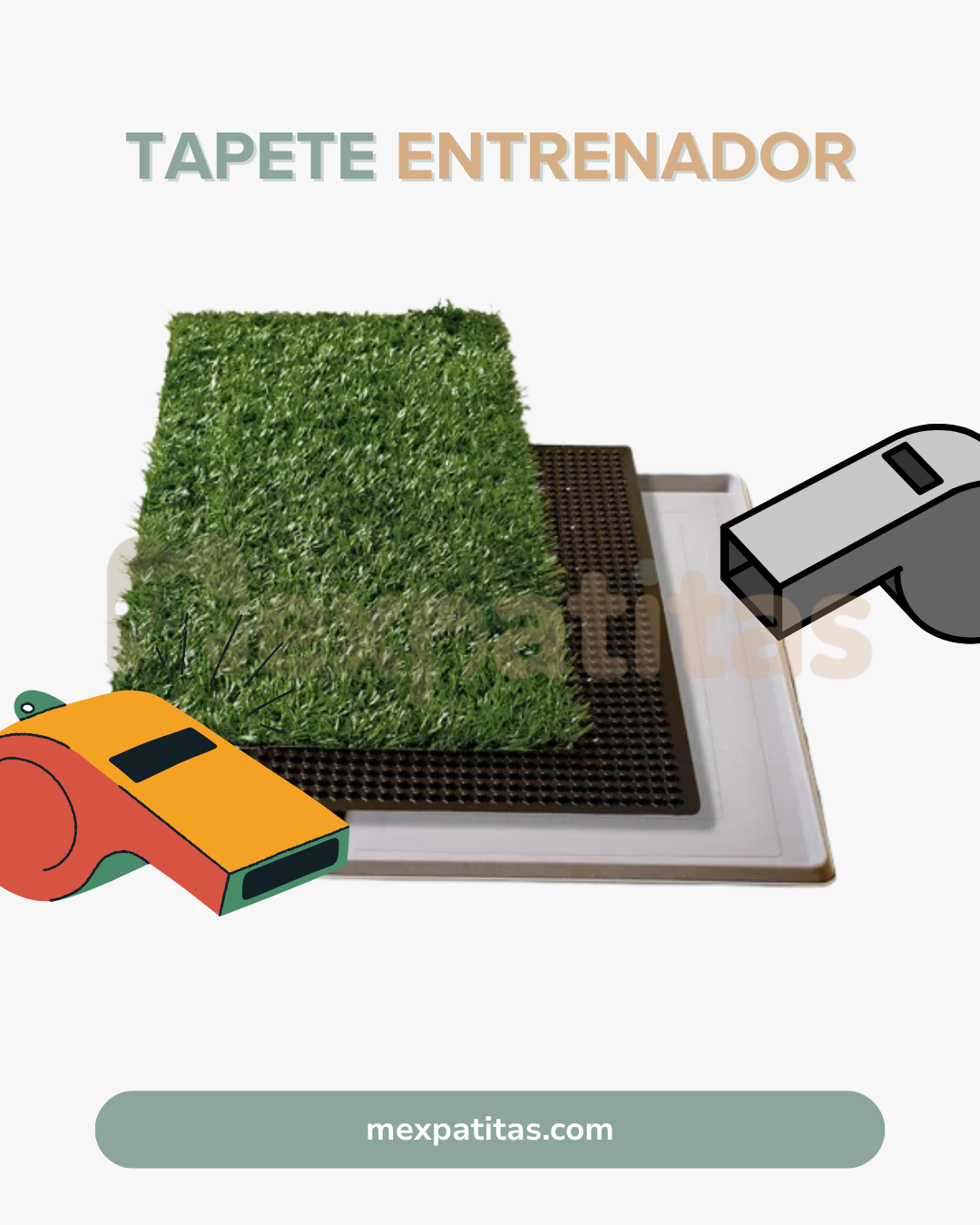 Pasto Pipí | Tapete entrenador Mexpatitas