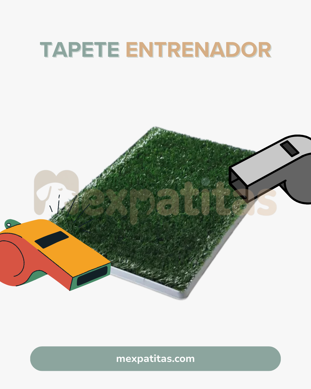 Pasto Pipí | Tapete entrenador Mexpatitas