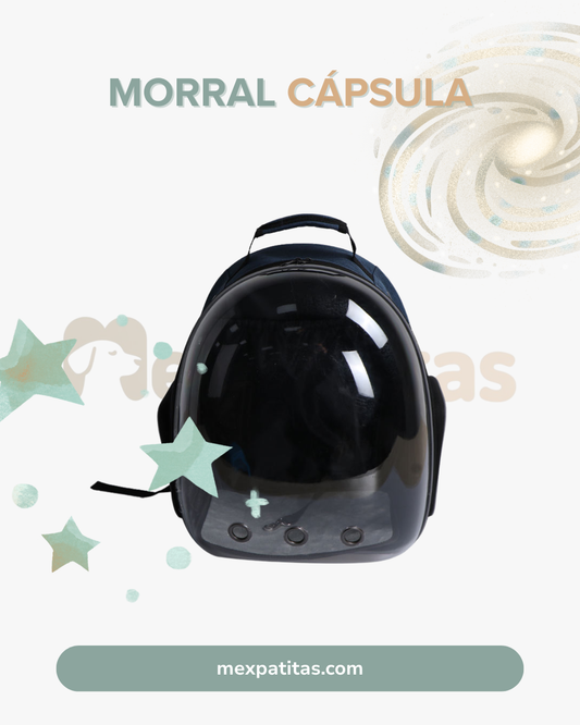 Morral cápsula para mascotas  |  Viaje Mexpatitas