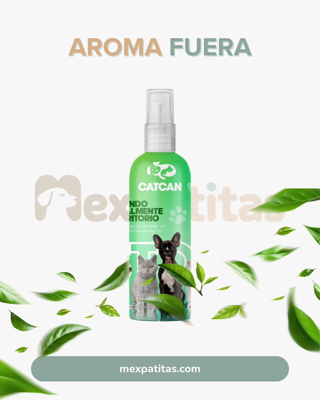 Travesurasfuera | Cuidado Mexpatitas