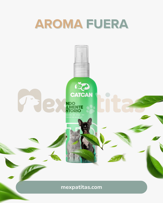 Travesurasfuera | Cuidado Mexpatitas