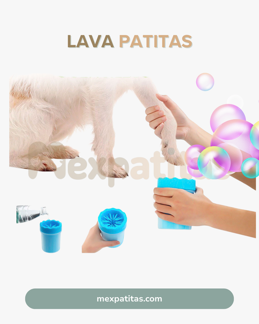 Lava patitas para perros  |  Limpieza Mexpatitas