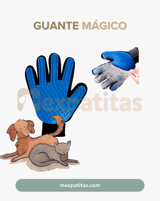 Guante mágico para pelaje sin dolor | Accesorio Mexpatitas