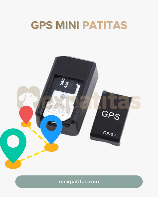 GPS mini para mascotas  |  Localizador Mexpatitas