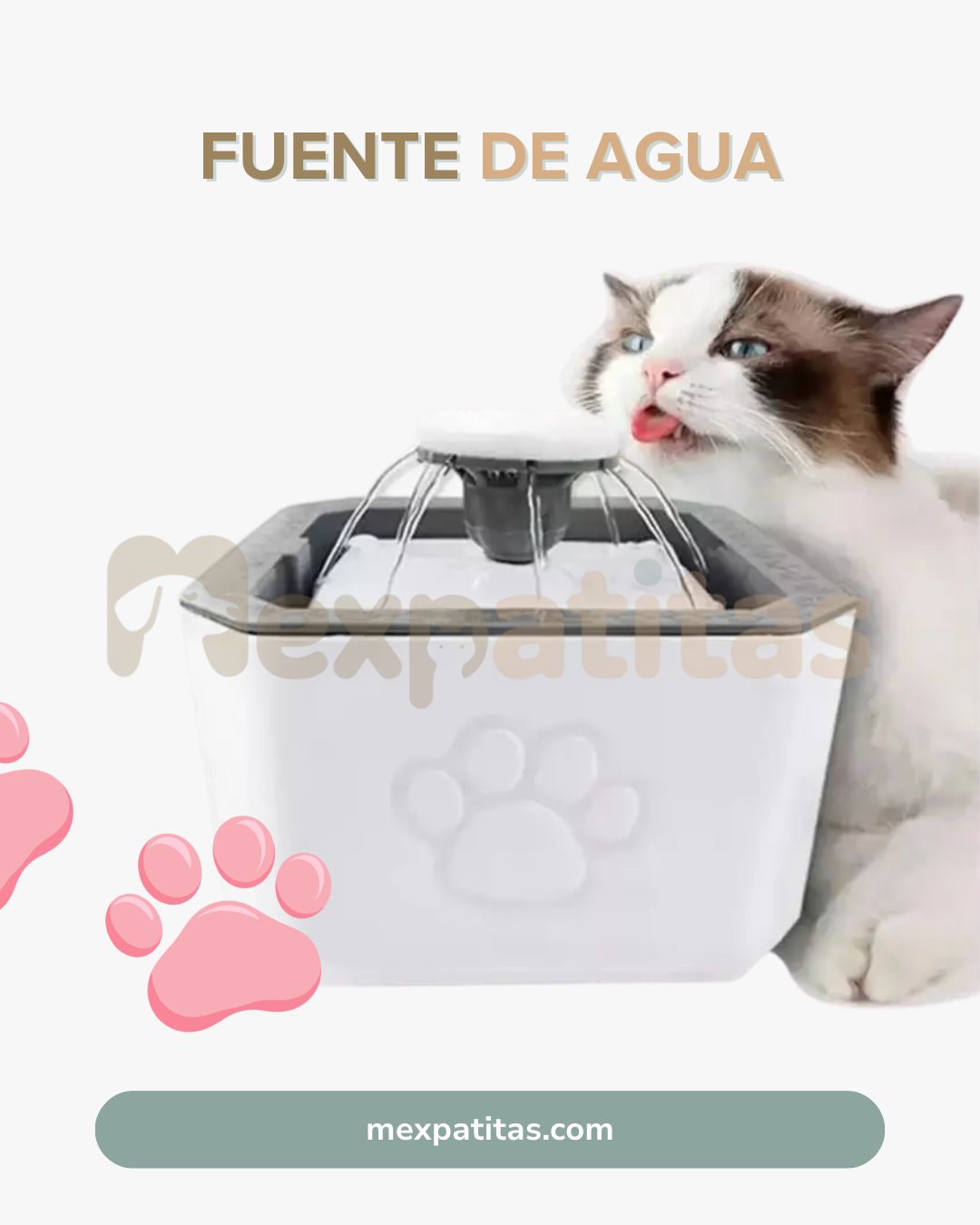 Fuente automática purificadora de agua 🐈 | Hidratación Mexpatitas