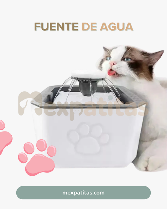 Fuente automática purificadora de agua 🐈 | Hidratación Mexpatitas