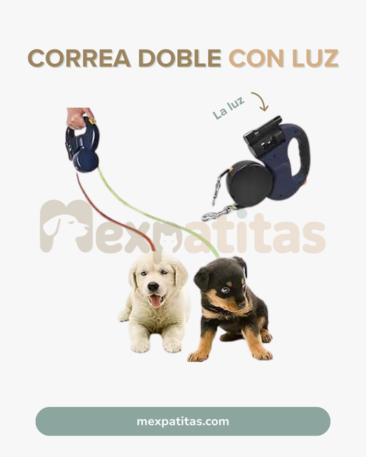 Correa retráctil doble con luz | Pasea a dos peludos sin enredos