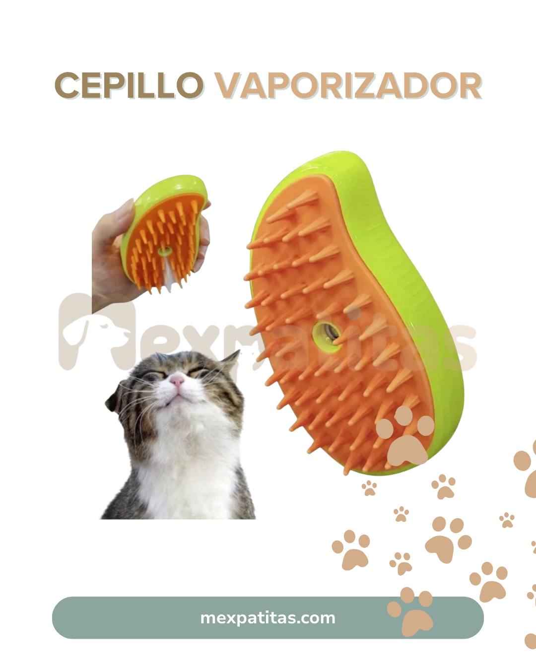Cepillo vaporizador 3 en 1 | Limpieza Mexpatitas