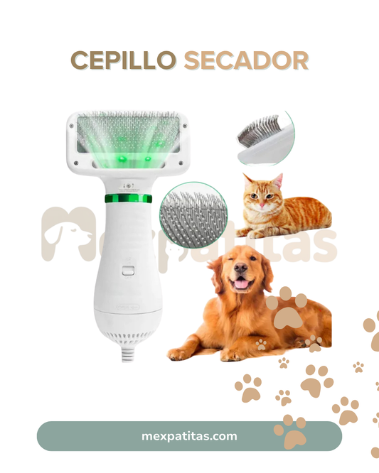 Cepillo secador 2 en 1 para mascotas | GroomPro Mexpatitas