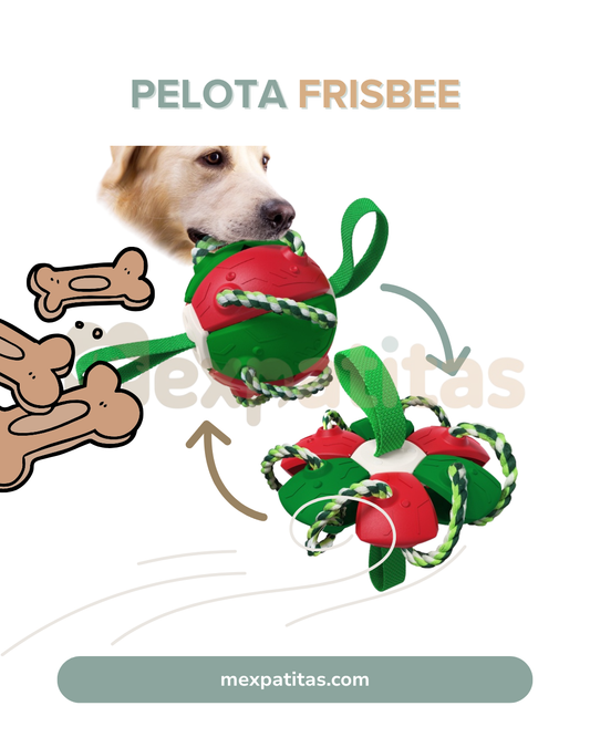 Pelota frisbee para perros | Juguete Mexpatitas