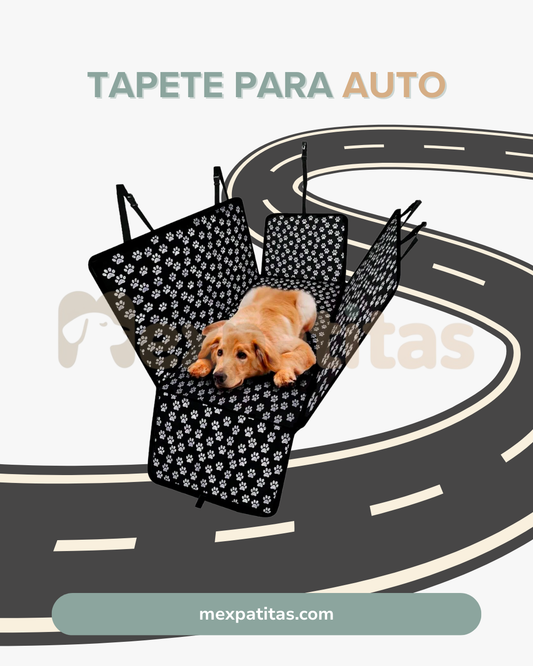 Tapete impermeable para auto  | Viaje Mexpatitas