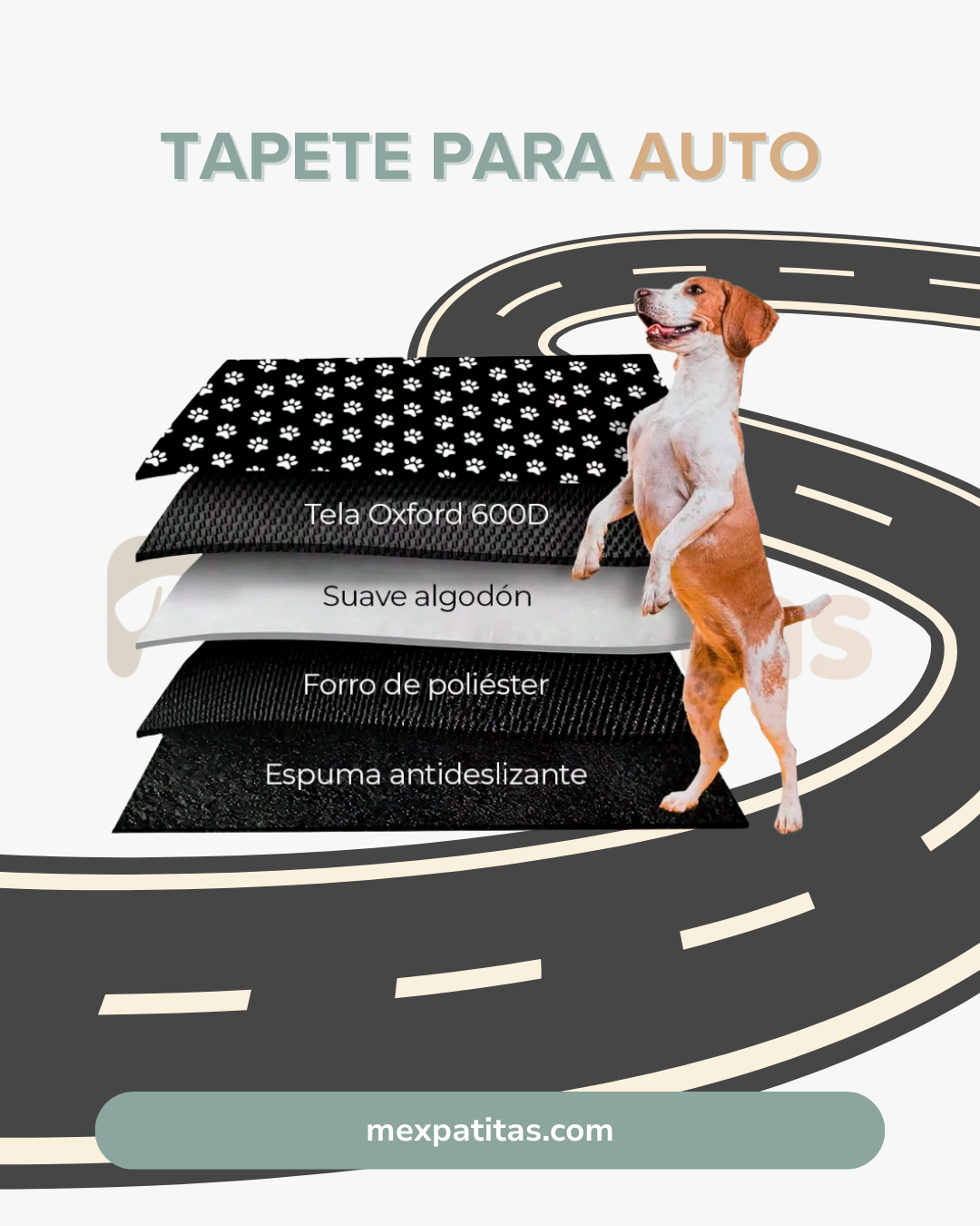 Tapete impermeable para auto  | Viaje Mexpatitas